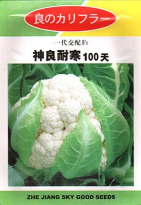 神良耐寒100天