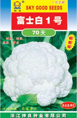 富士白1号70天
