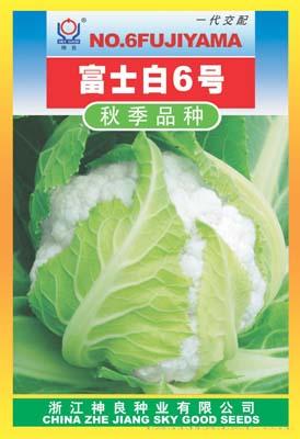 富士白6号