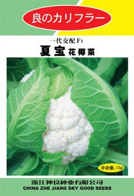 夏宝花椰菜