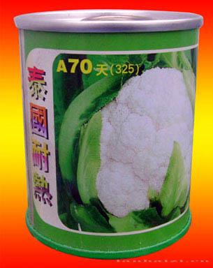 泰国耐热A70天
