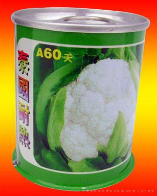 泰国耐热A60天
