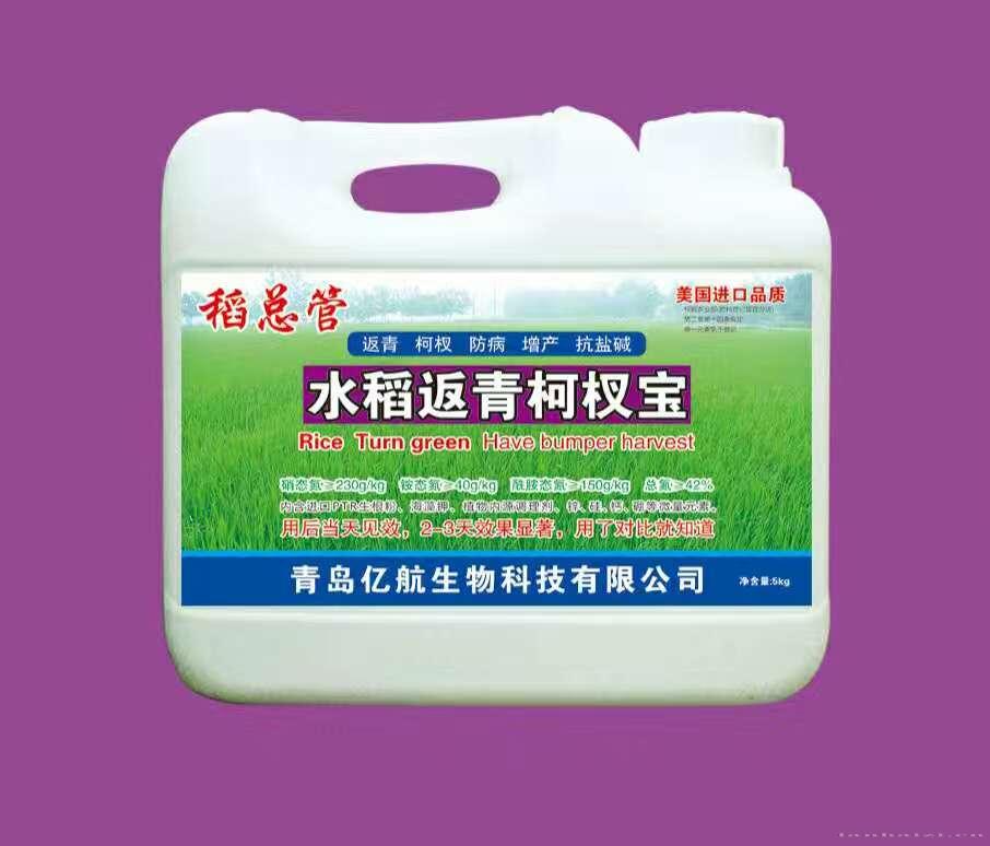 水稻返青柯杈宝