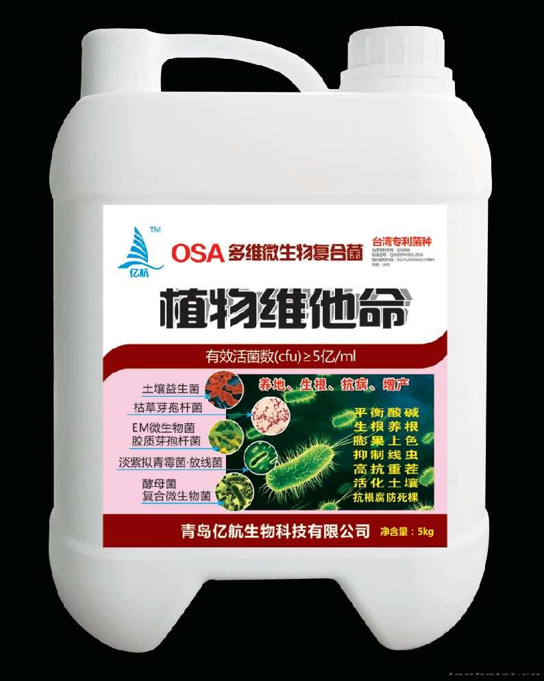 OSA多维微生物复合菌 植物维他命