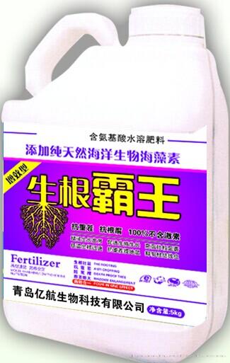 生根霸王