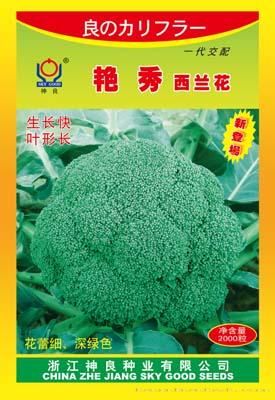 艳秀70天