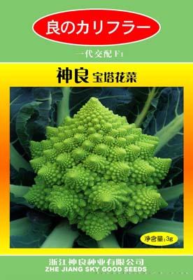 宝塔花菜