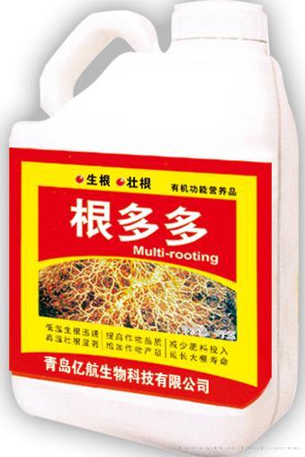 根多多