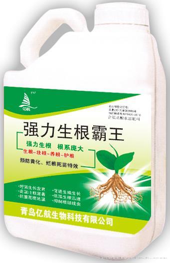 强力生根霸王