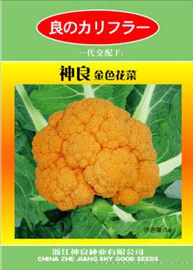 神良金色花菜