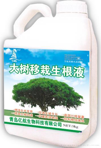大树移栽生根液