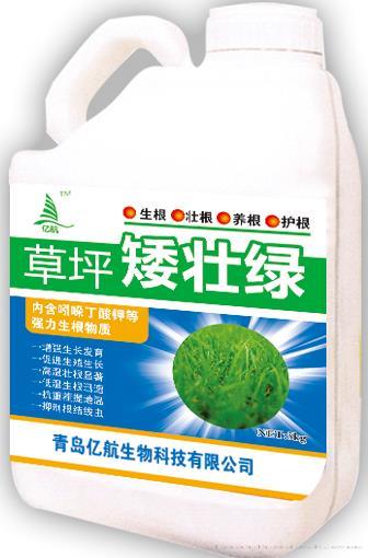 草坪矮壮绿