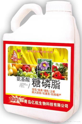 氨基酸糖磷脂