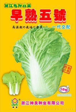 早熟5号