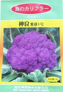 神良紫花一号