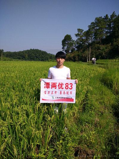 潭两优83 