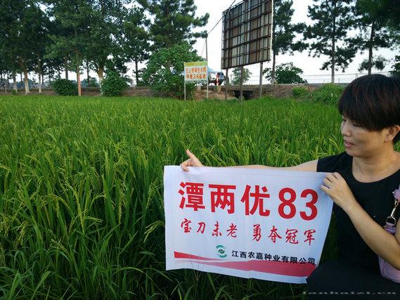 潭两优83 
