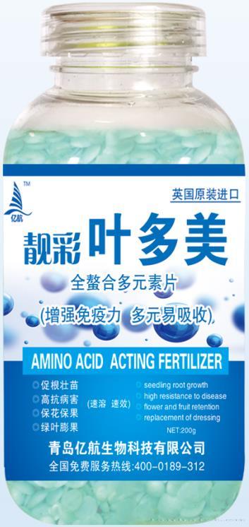 靓彩.叶多美