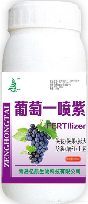 葡萄一喷紫