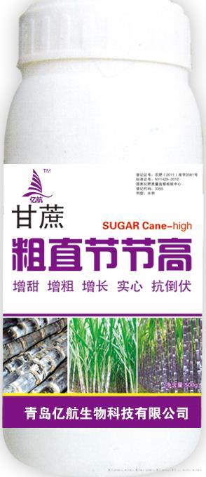 甘蔗粗直节节高