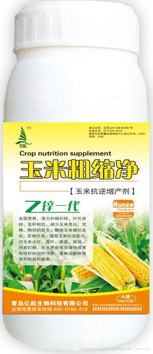 玉米粗缩净