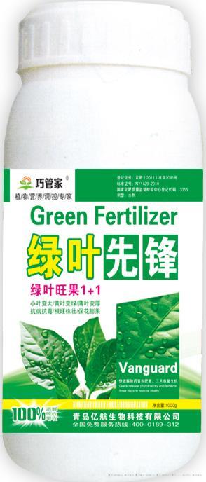 绿叶先锋