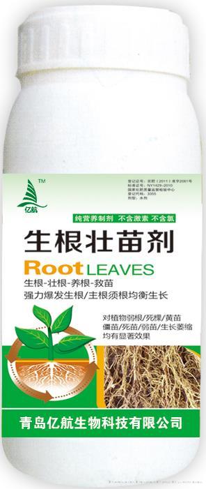 生根壮苗剂