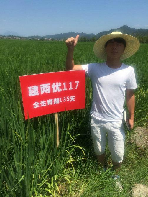 建两优117 