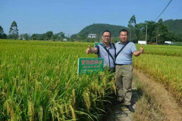 吉田优华占 