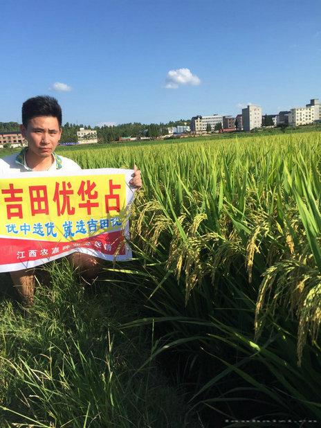 吉田优华占 