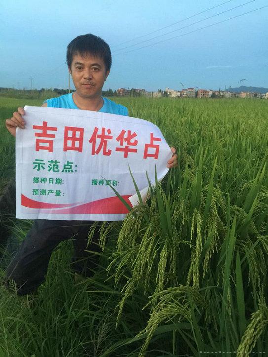 吉田优华占 