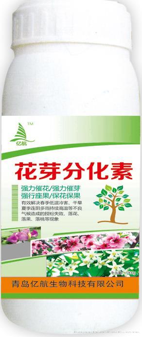 花芽分化素