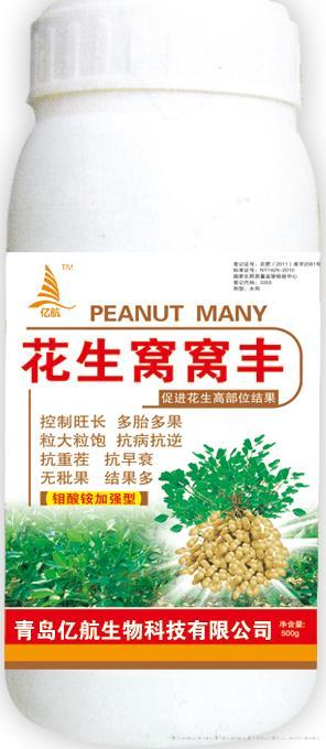 花生窝窝丰