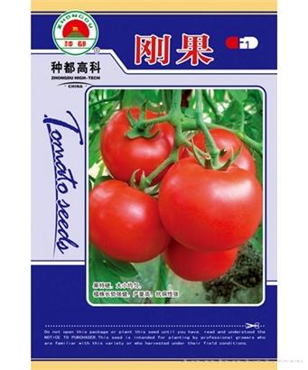 刚果