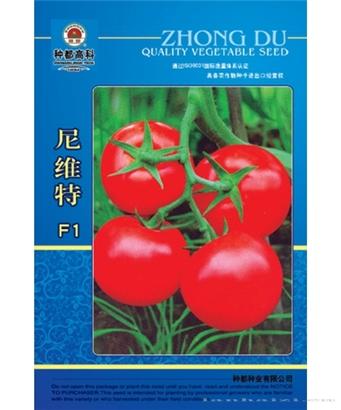 尼维特