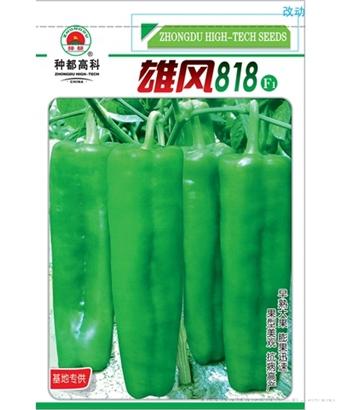 雄风818