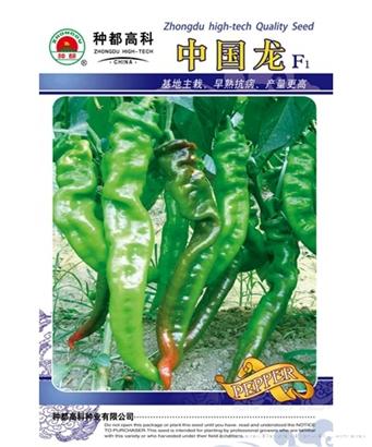 中国龙