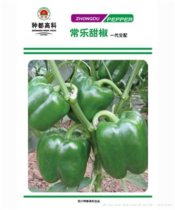 常乐甜椒