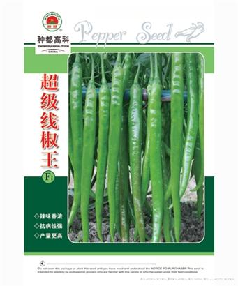 超级线椒王