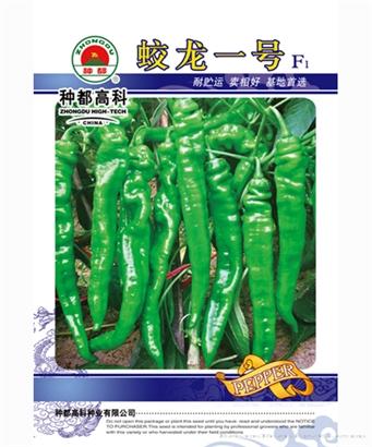 蛟龙一号
