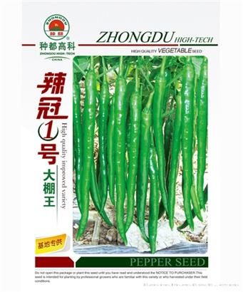 辣冠1号