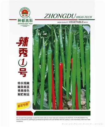 辣秀1号