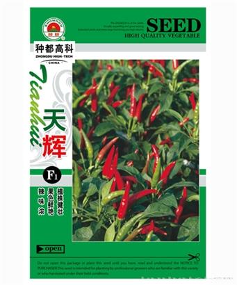 天辉