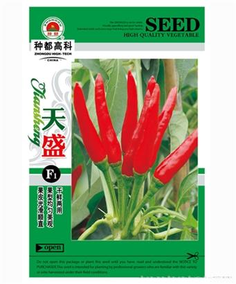 天盛