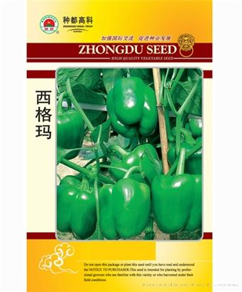 西格玛