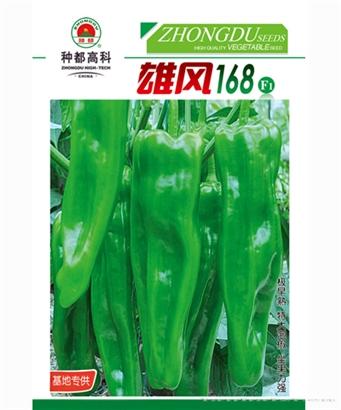 雄风168