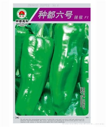 种都六号