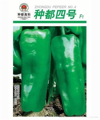 种都四号