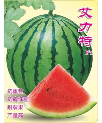 艾力特