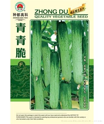 青青脆